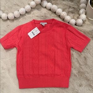 J. Crew Pink Knit Sweater